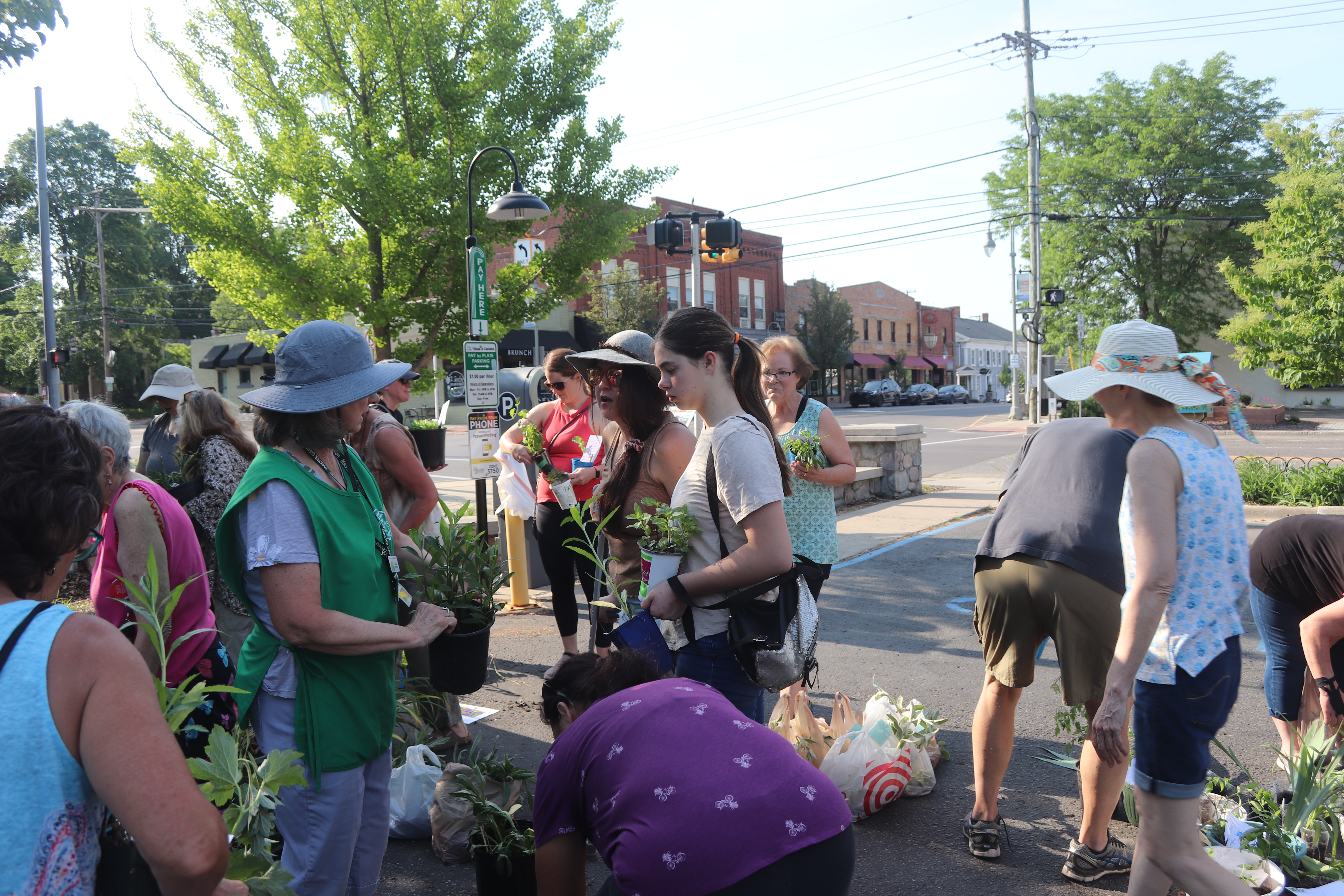 Perennial Plant Exchange 6