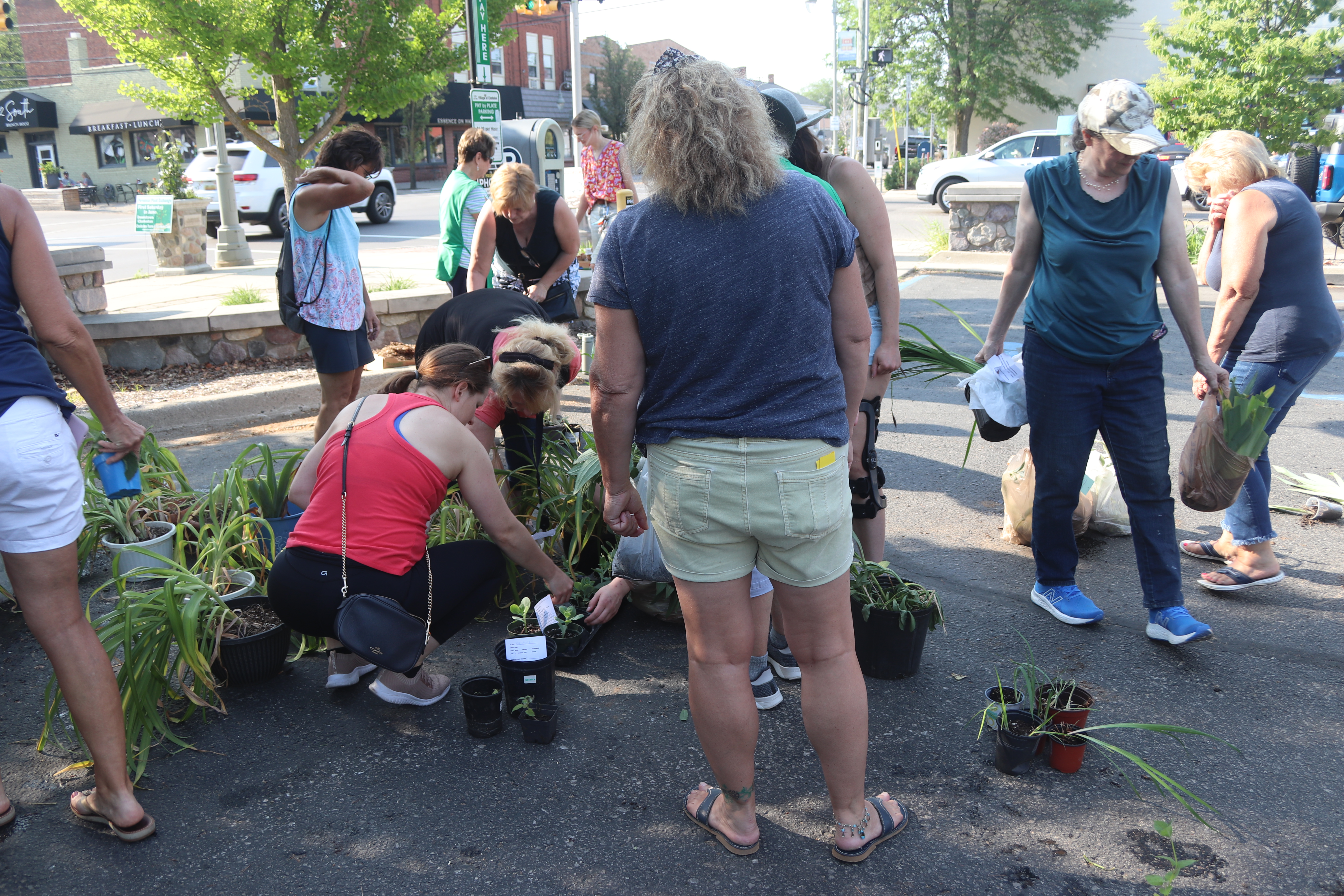 Perennial Plant Exchange 7