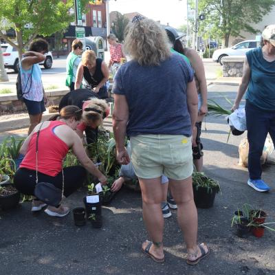 Perennial Plant Exchange 7